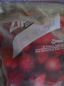 frozen non sprayed strawberries in freezer bag